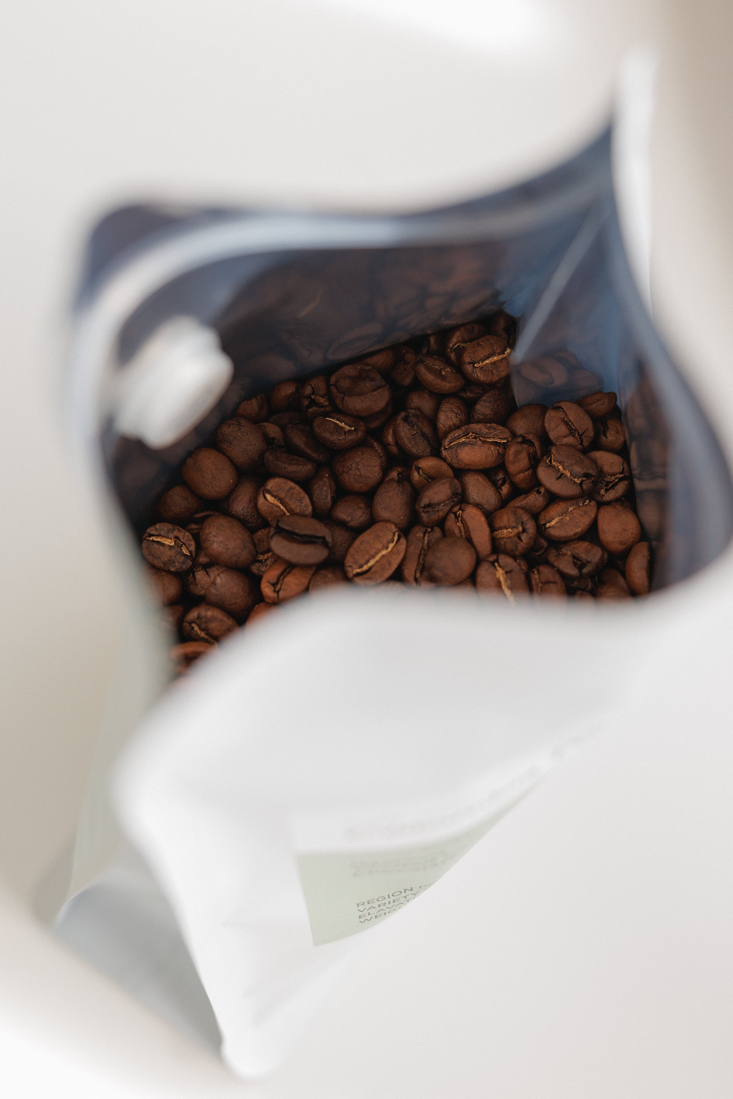 Sortie is the best specialty coffee shop in Thessaloniki/ high rated specialty coffee/ specialty beans 